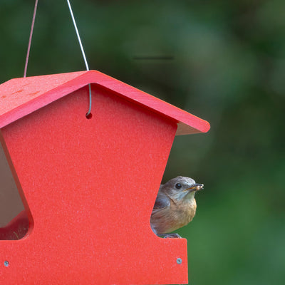 Small Hopper Feeder in Red Recycled Plastic - Birds Choice