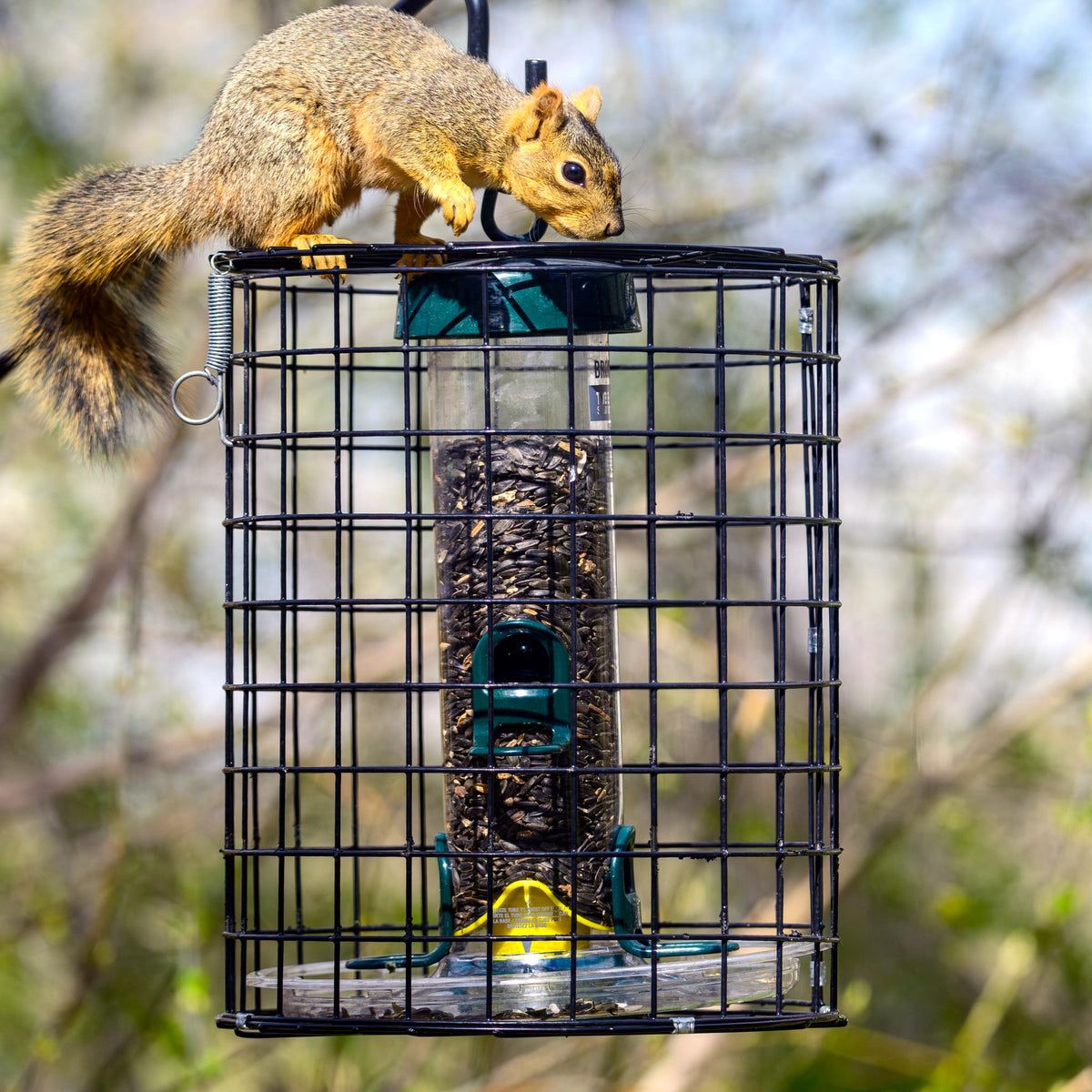 Brome Squirrel-Proof Tube Feeder with Cage &amp; Seed Tray - Birds Choice