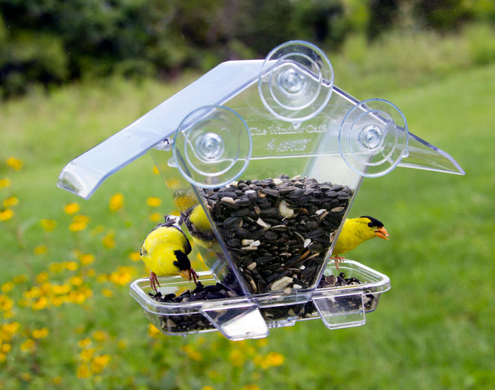 Aspects - The Window Cafe Bird Feeder - Birds Choice