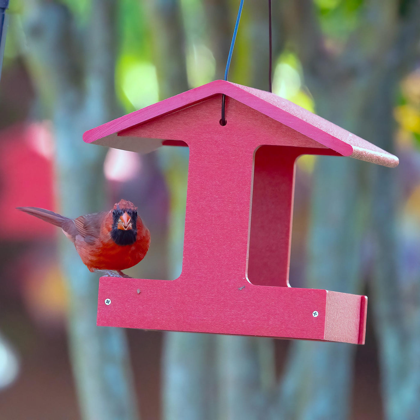 Fly-Thru Feeder in Red Recycled Plastic - Birds Choice