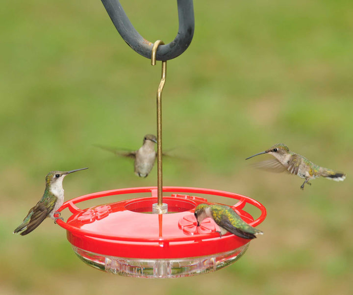 Hummzinger - HighView 8 oz. Hanging Hummingbird Feeder - Birds Choice