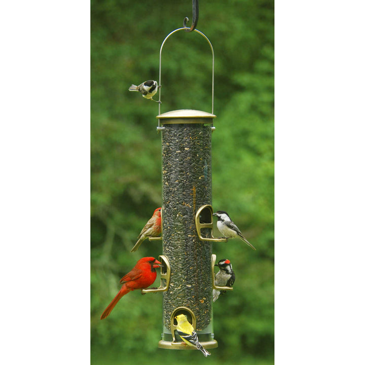 Aspects Quick Clean - Antique Brass Big Tube Bird Feeder - Birds Choice