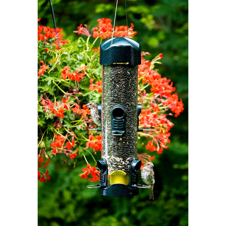 Brome Mega 600 Tube Feeder - Birds Choice