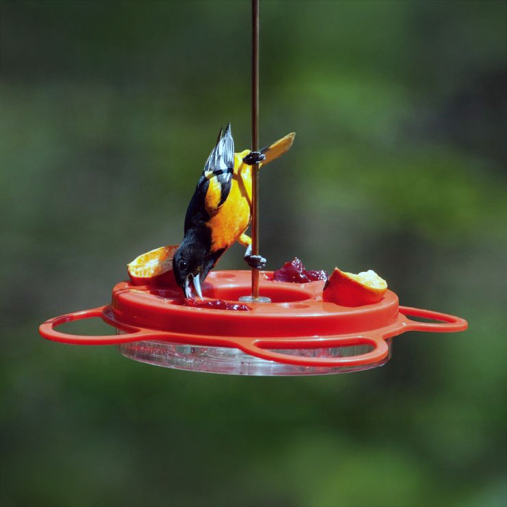 Oriolefest Oriole Bird Feeder for Oranges Jelly and 12 oz Nectar - Birds Choice