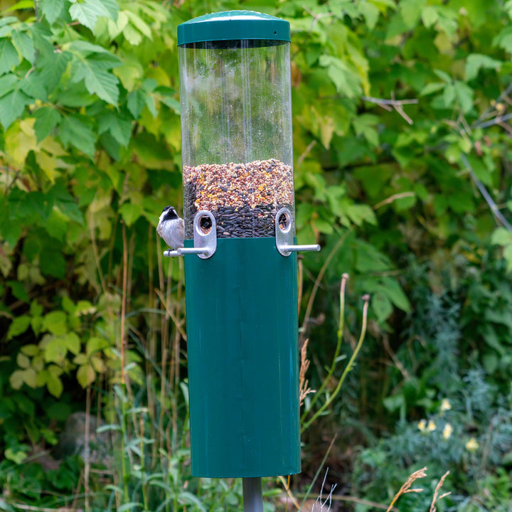 Squirrel Proof Classic Bird Feeder with Pole and Squirrel Baffle - Birds Choice
