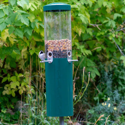 Squirrel Proof Classic Bird Feeder with Pole and Squirrel Baffle