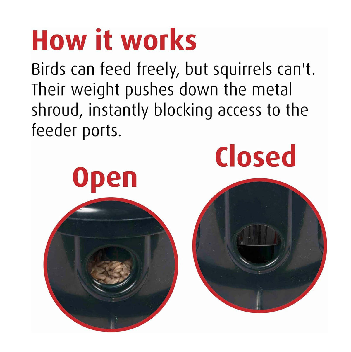 Brome Squirrel Buster Plus Squirrel-proof Bird Feeder w/Cardinal Ring - Birds Choice