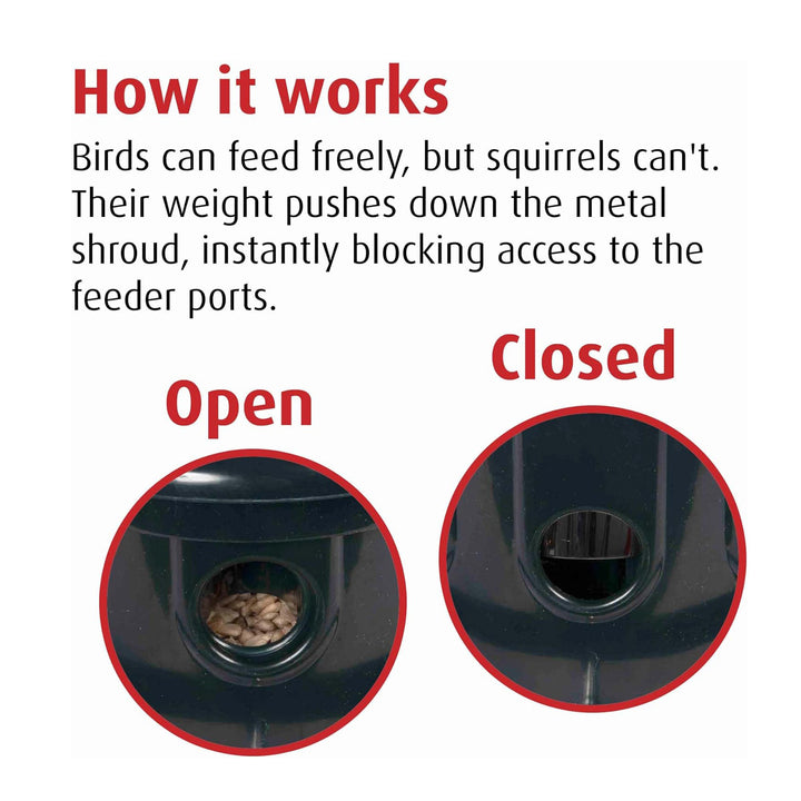 Brome Squirrel Buster Plus Squirrel-proof Bird Feeder w/Cardinal Ring - Birds Choice
