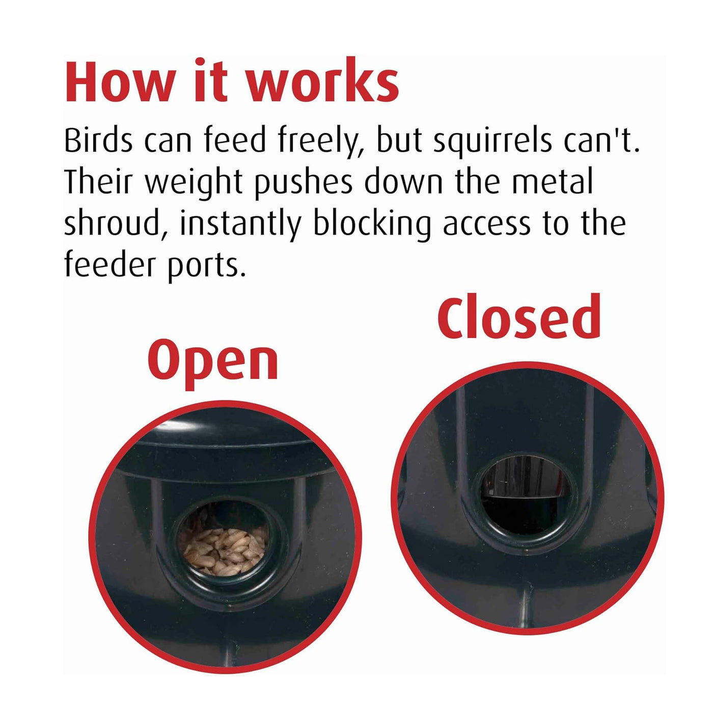 Brome Squirrel Buster Plus Squirrel-proof Bird Feeder w/Cardinal Ring ...