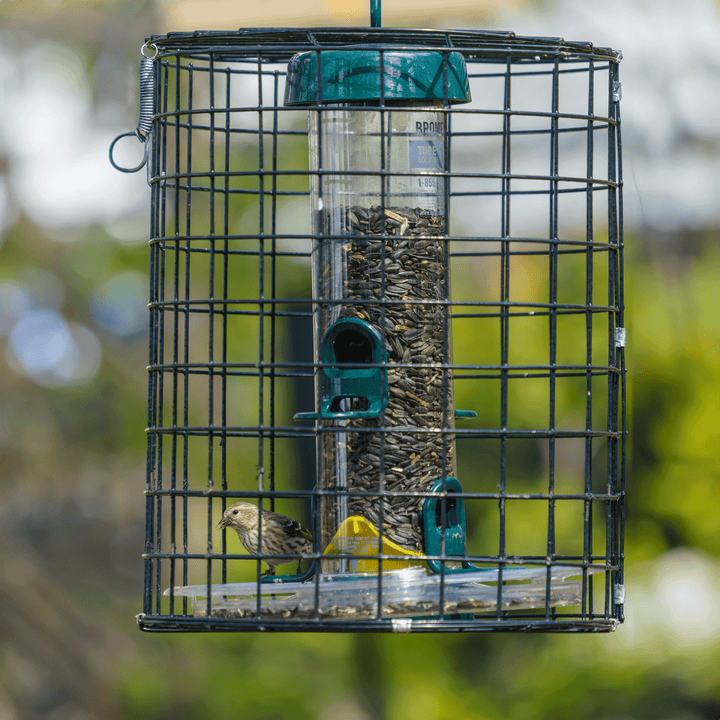 Brome Squirrel-Proof Tube Feeder with Cage &amp; Seed Tray - Birds Choice