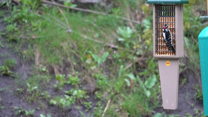 Suet Feeder with Tail Prop for Two Cakes in Taupe and Green Recycled Plastic