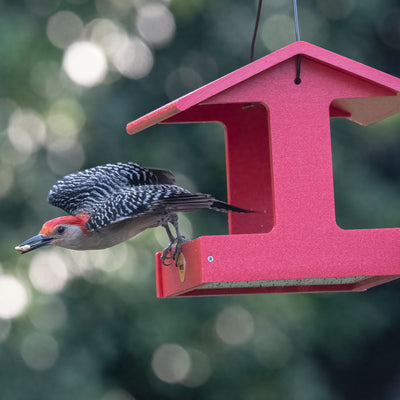 Fly-Thru Feeder in Red Recycled Plastic - Birds Choice