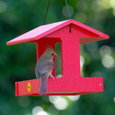 Fly-Thru Feeder in Red Recycled Plastic - Birds Choice