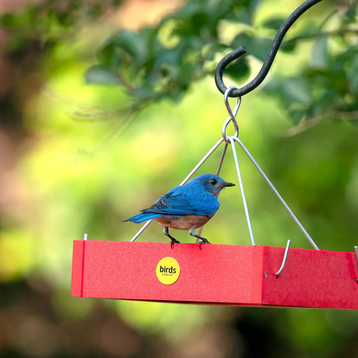 Small Hanging Tray Bird Feeder in Red Recycled Plastic - Birds Choice