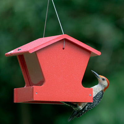 Small Hopper Feeder in Red Recycled Plastic - Birds Choice