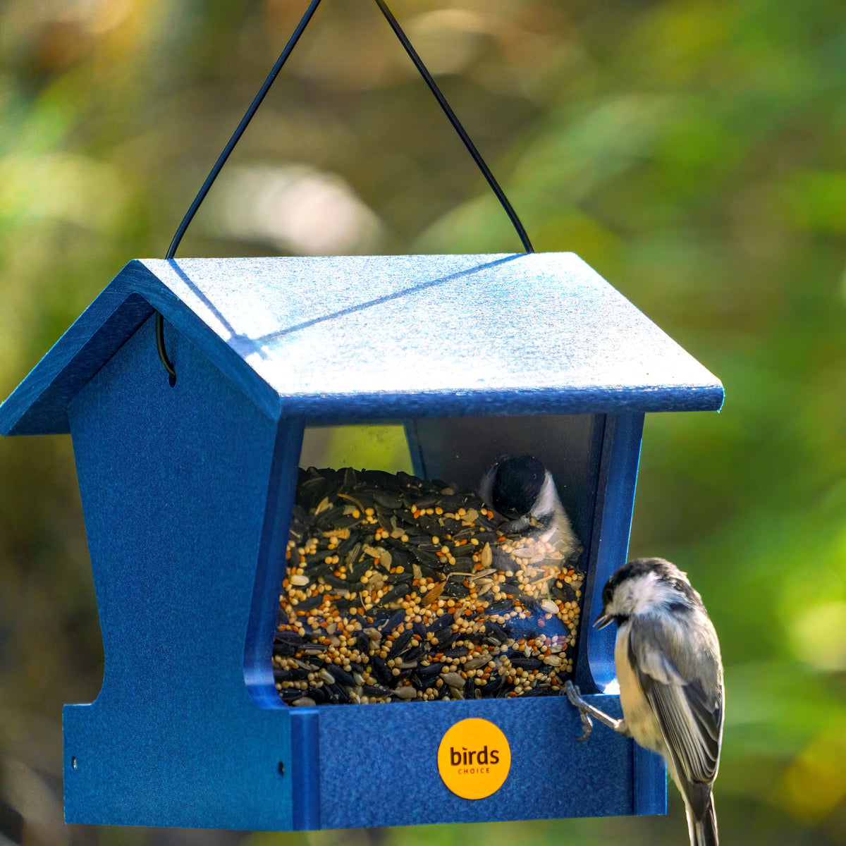 Small Hopper Feeder in Blue Recycled Plastic - Birds Choice