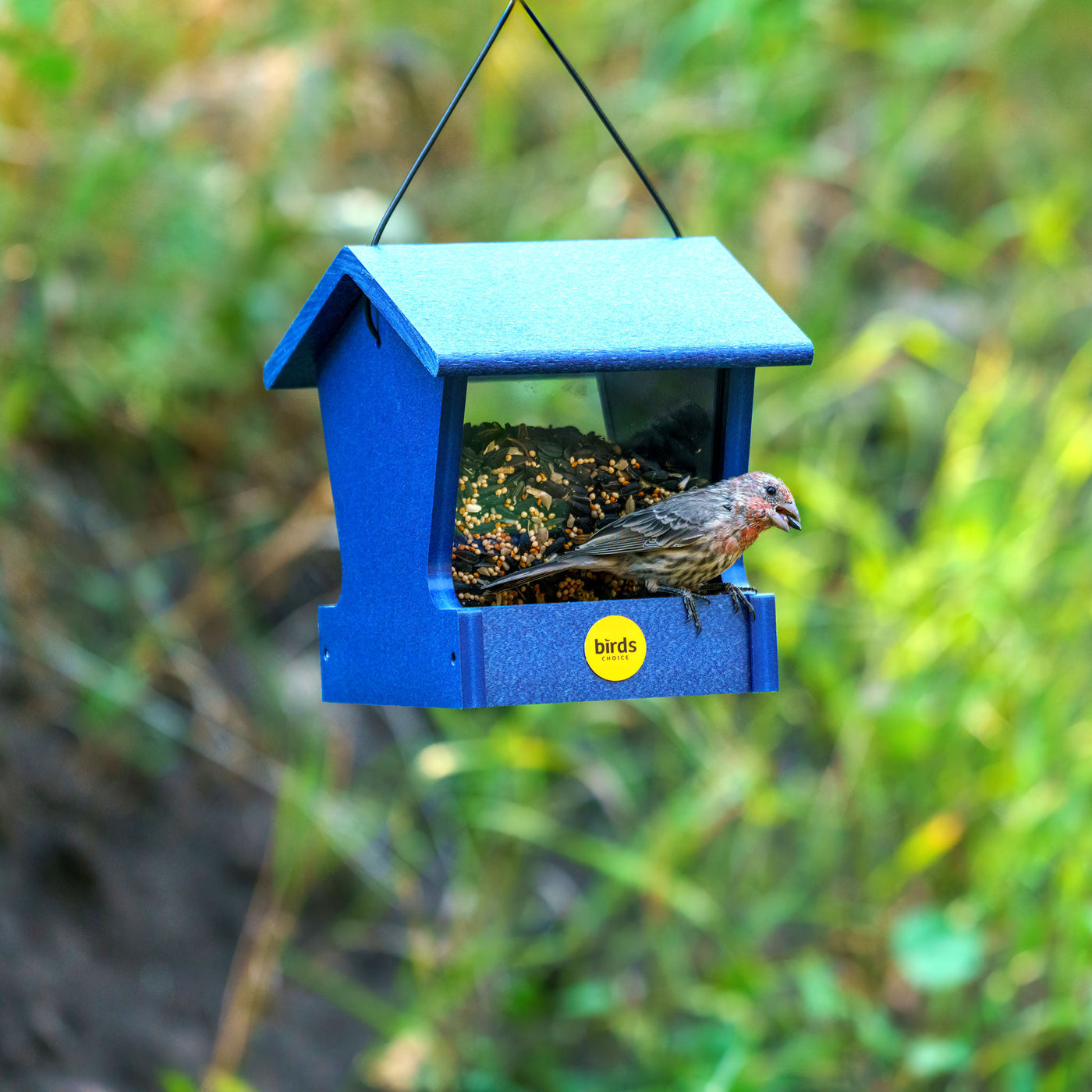 Small Hopper Feeder in Blue Recycled Plastic - Birds Choice