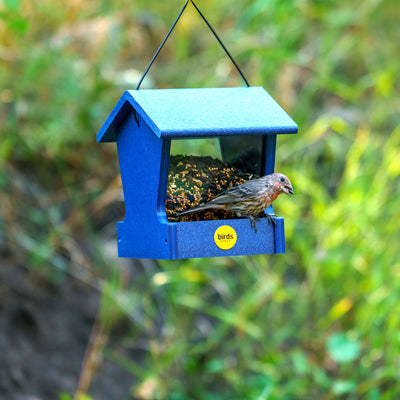 Small Hopper Feeder in Blue Recycled Plastic - Birds Choice