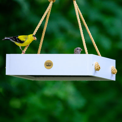 Modern Farmhouse Small Hanging Platform Bird Feeder in White