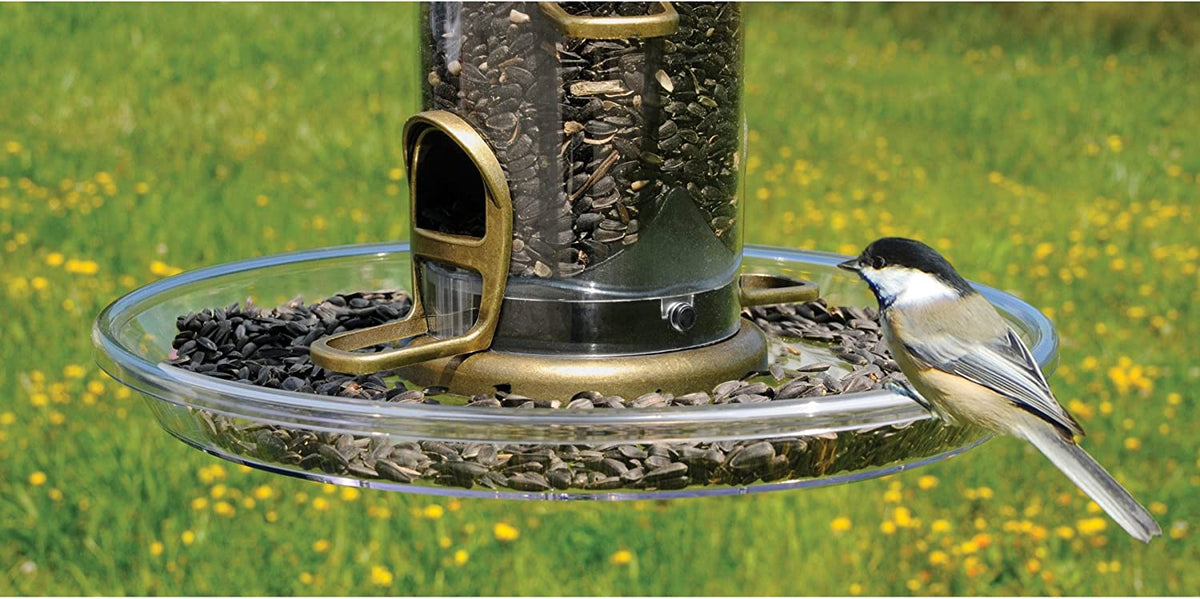 Aspects Quick Clean - Bigfoot™ 12" Seed Tray - Birds Choice
