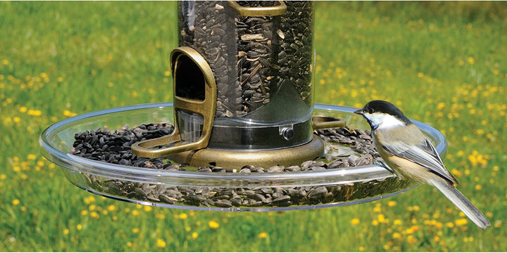 Aspects Quick Clean - Bigfoot™ 12" Seed Tray - Birds Choice