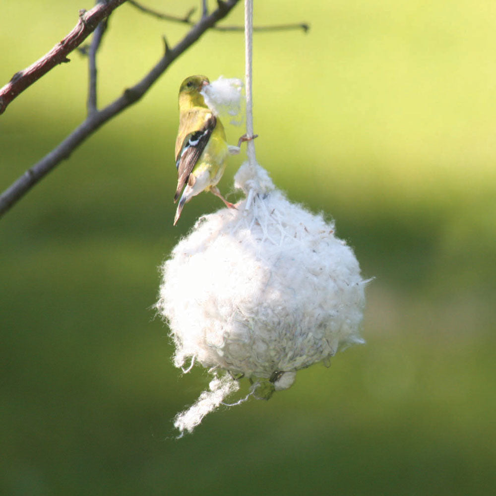 Cotton Nest Building Material for Birds - Birds Choice