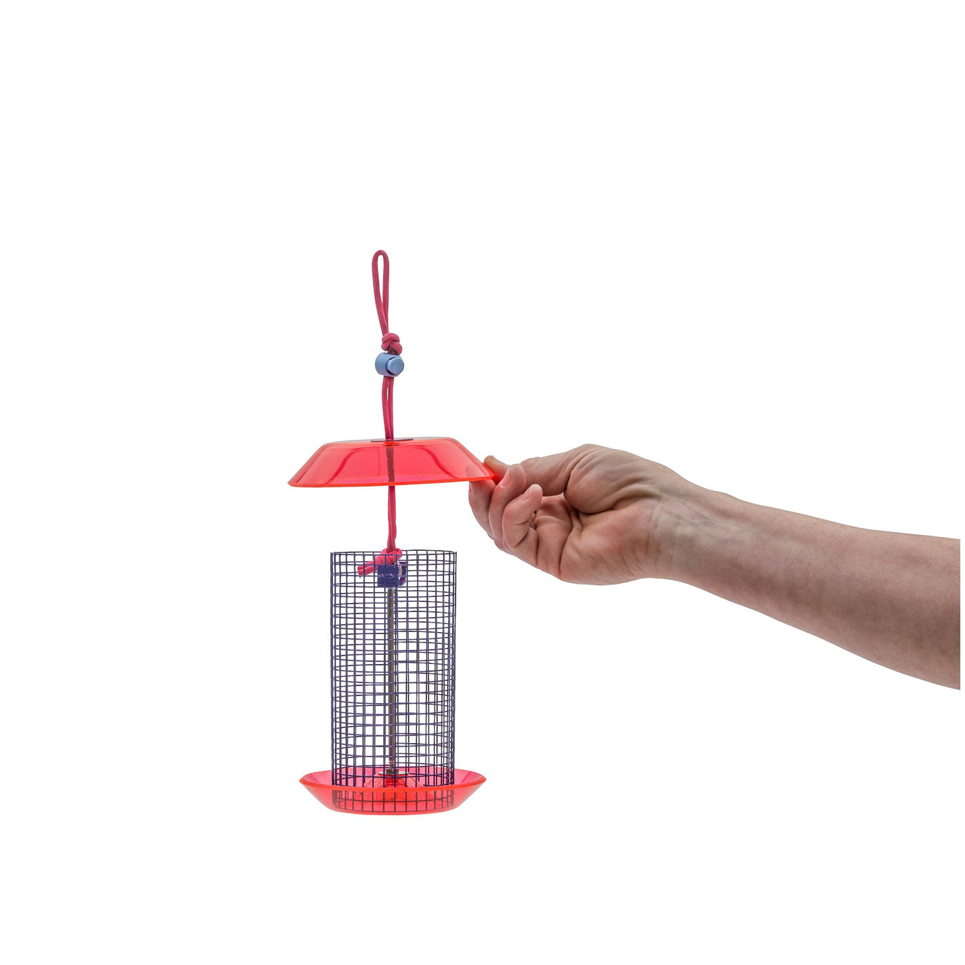 Small Sunflower Seed Feeder Color Pop Collection in Blue and Fuchsia - Birds Choice