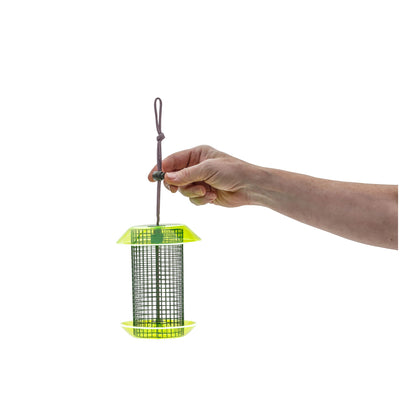 Small Sunflower Seed Feeder Color Pop Collection in Green and Lavender - Birds Choice
