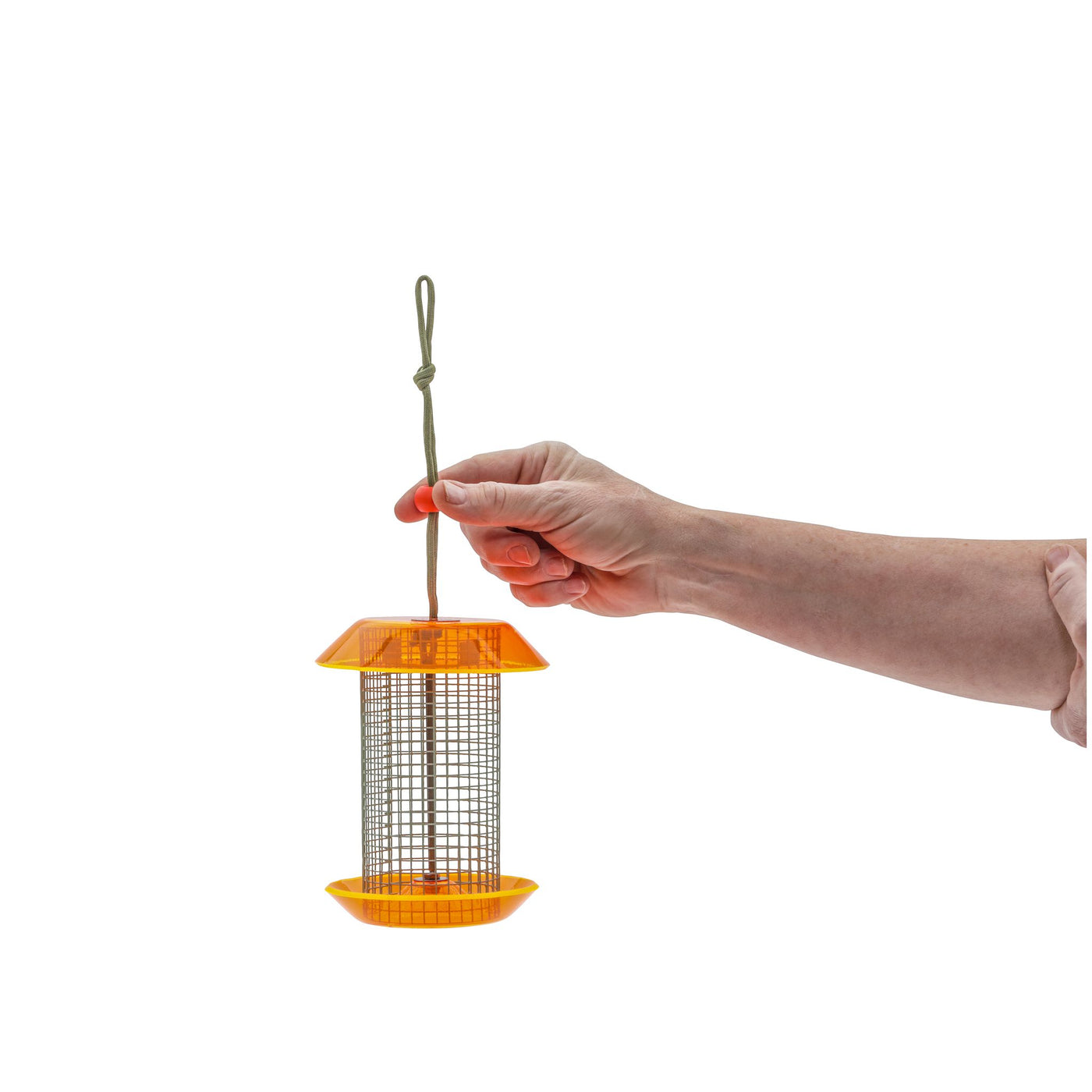 Small Sunflower Seed Feeder Color Pop Collection in Light Green and Orange - Birds Choice