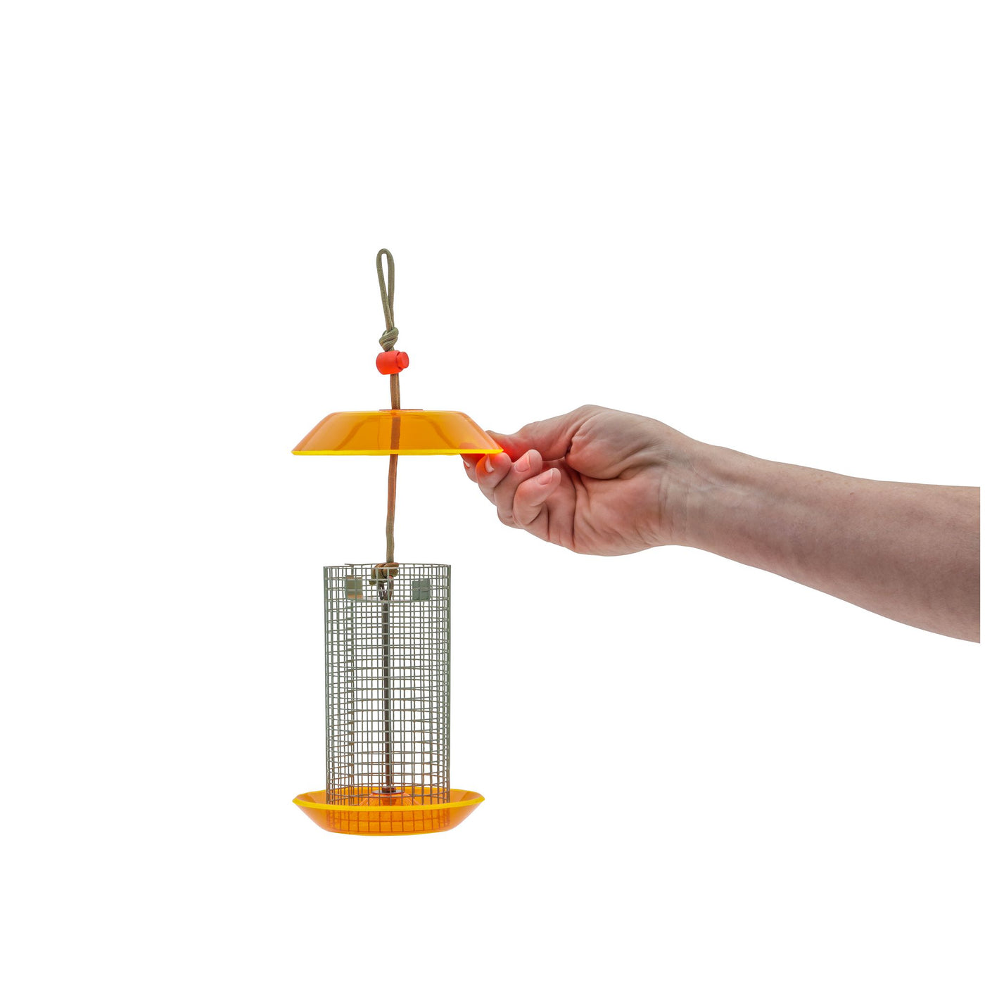 Small Sunflower Seed Feeder Color Pop Collection in Light Green and Orange - Birds Choice