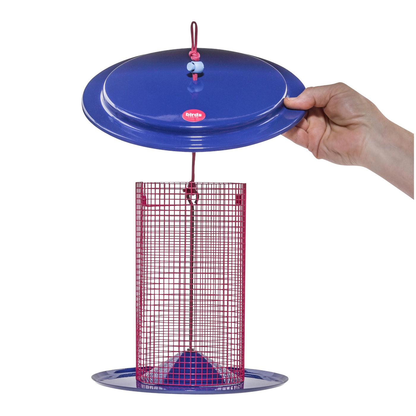 Sunflower Seed Bird Feeder Color Pop Collection in Blue and Fuchsia - Birds Choice