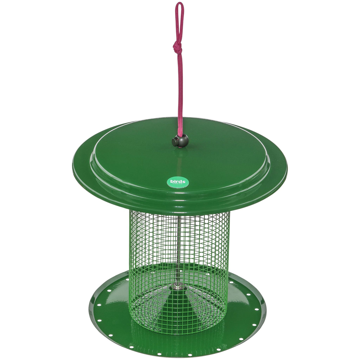 Sunflower Seed Bird Feeder Color Pop Collection in Green and Lavender - Birds Choice