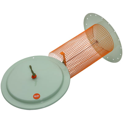 Sunflower Seed Bird Feeder Color Pop Collection in Light Green and Orange - Birds Choice