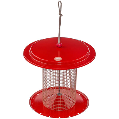 Sunflower Seed Bird Feeder Color Pop Collection in Red and Coral - Birds Choice