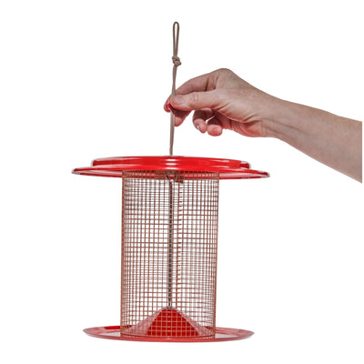 Sunflower Seed Bird Feeder Color Pop Collection in Red and Coral - Birds Choice