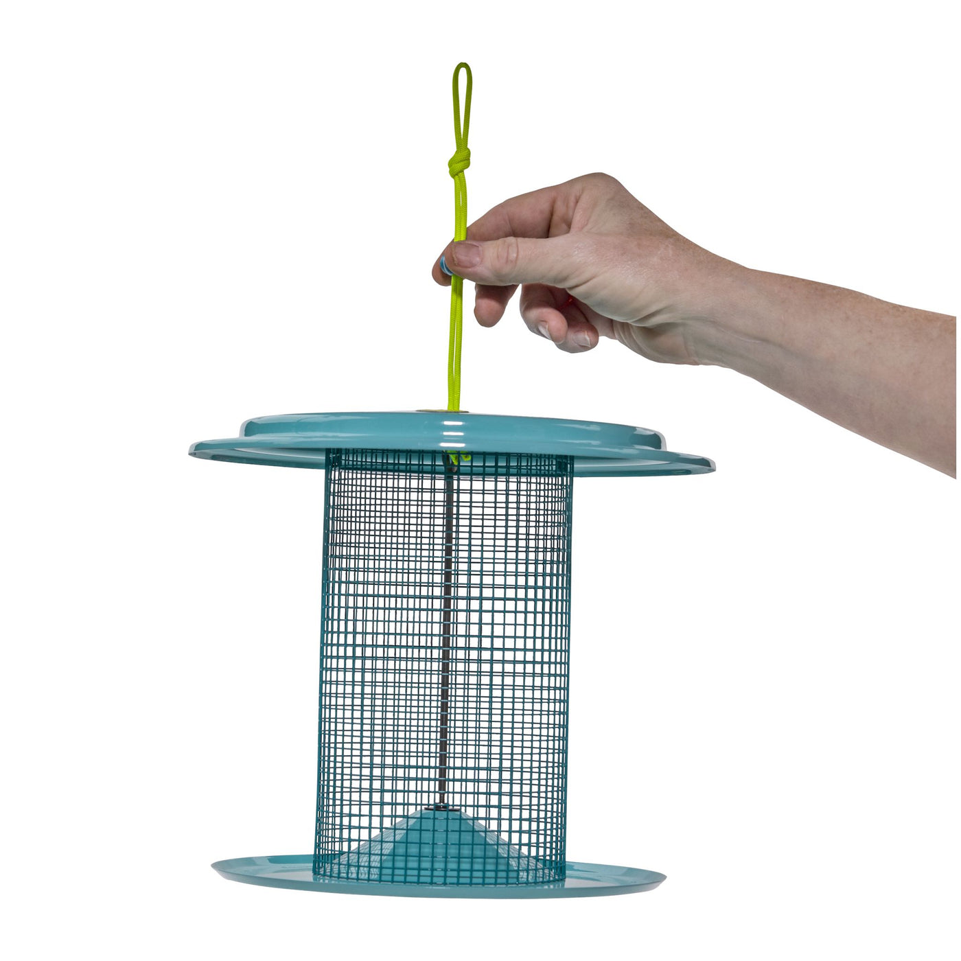 Sunflower Seed Bird Feeder Color Pop Collection in Teal and Yellow - Birds Choice