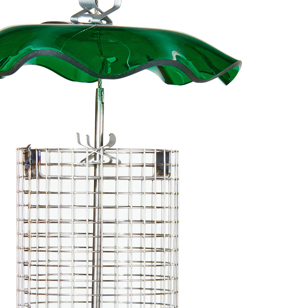 Small Sunflower Seed Forever Feeder with Stainless Steel Screen in Green - Birds Choice