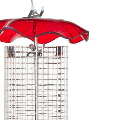 Small Sunflower Seed Forever Feeder with Stainless Steel Screen in Red - Birds Choice
