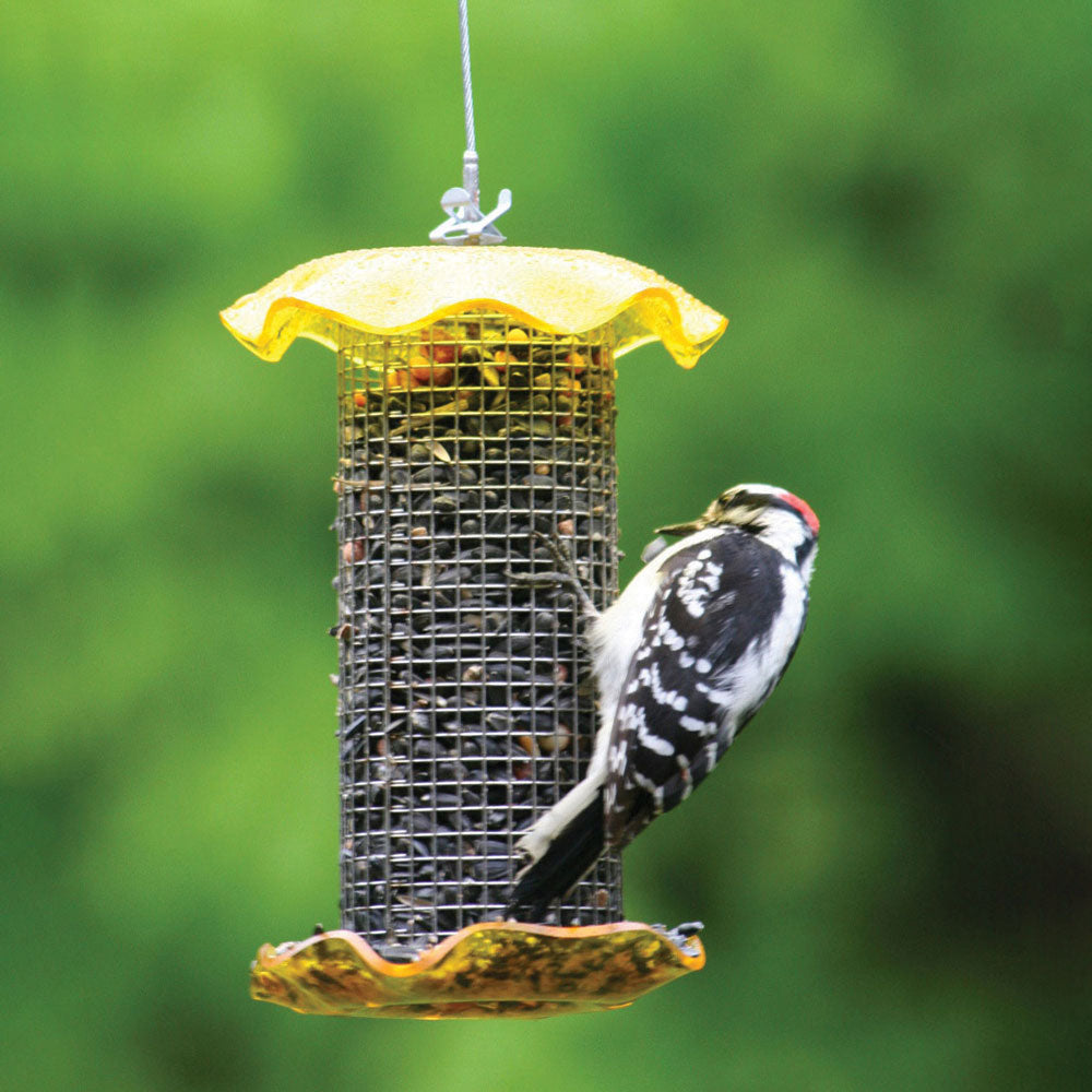 Small Sunflower Seed Forever Feeder with Stainless Steel Screen in Yellow - Birds Choice