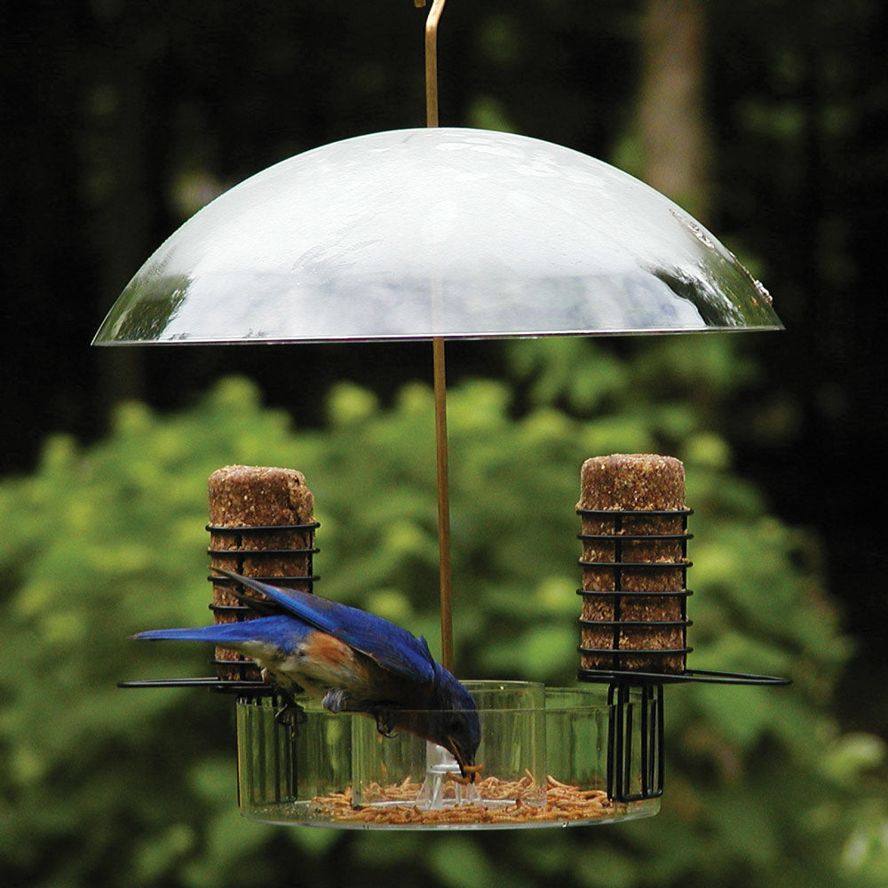 Supper Dome Bird Feeder for Seed Suet and Mealworms - Birds Choice