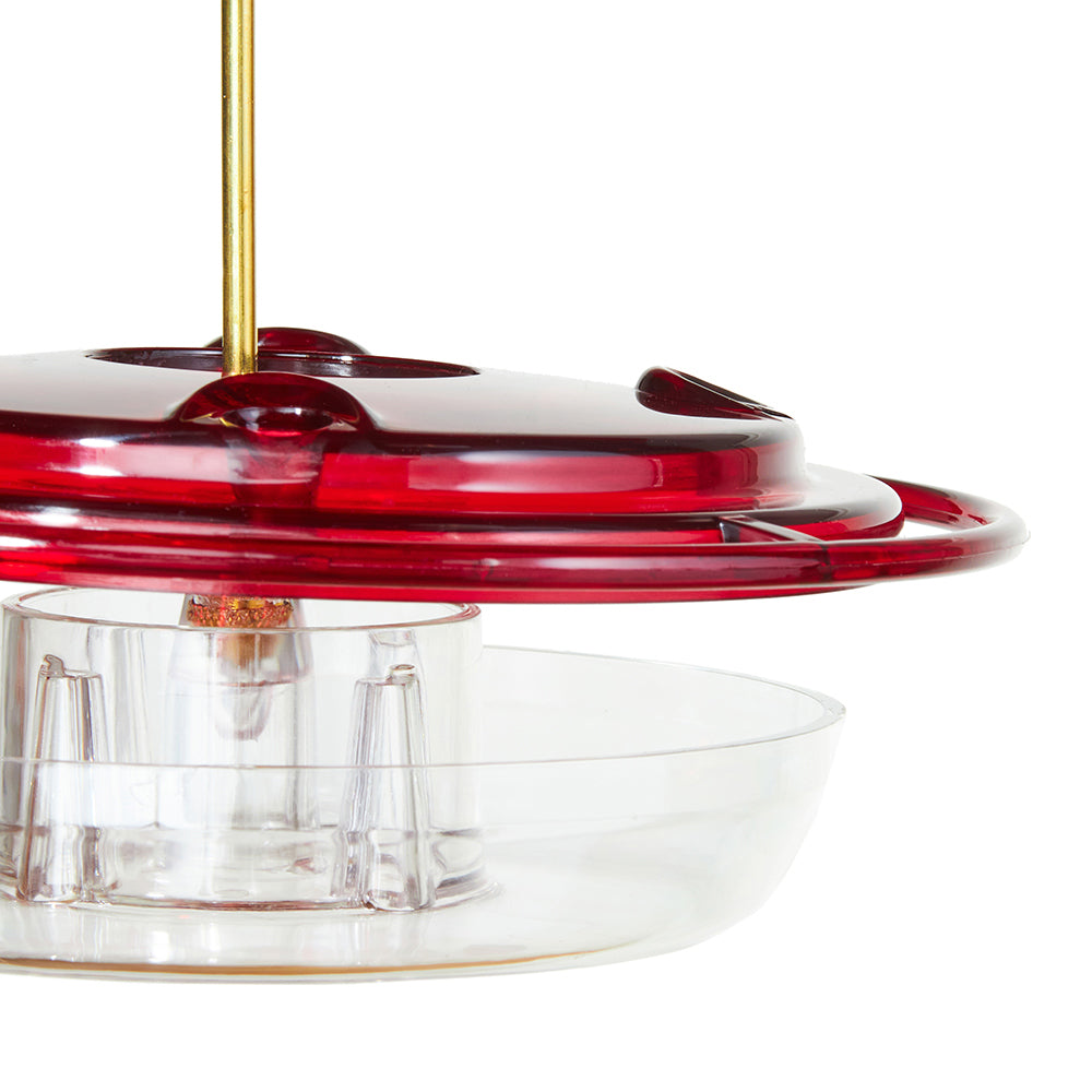 Hummerdome Hummingbird Feeder with Red Dome 8 oz. - Birds Choice