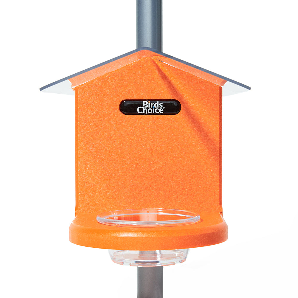 Jelly Feeder for Pole Mounting in Orange Recycled Plastic - Birds Choice