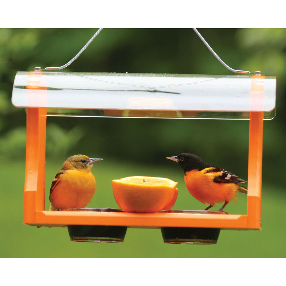 Recycled Oriole Bird Feeder for Oranges and Jelly in Orange - Birds Choice