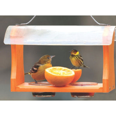 Recycled Oriole Bird Feeder for Oranges and Jelly in Orange - Birds Choice