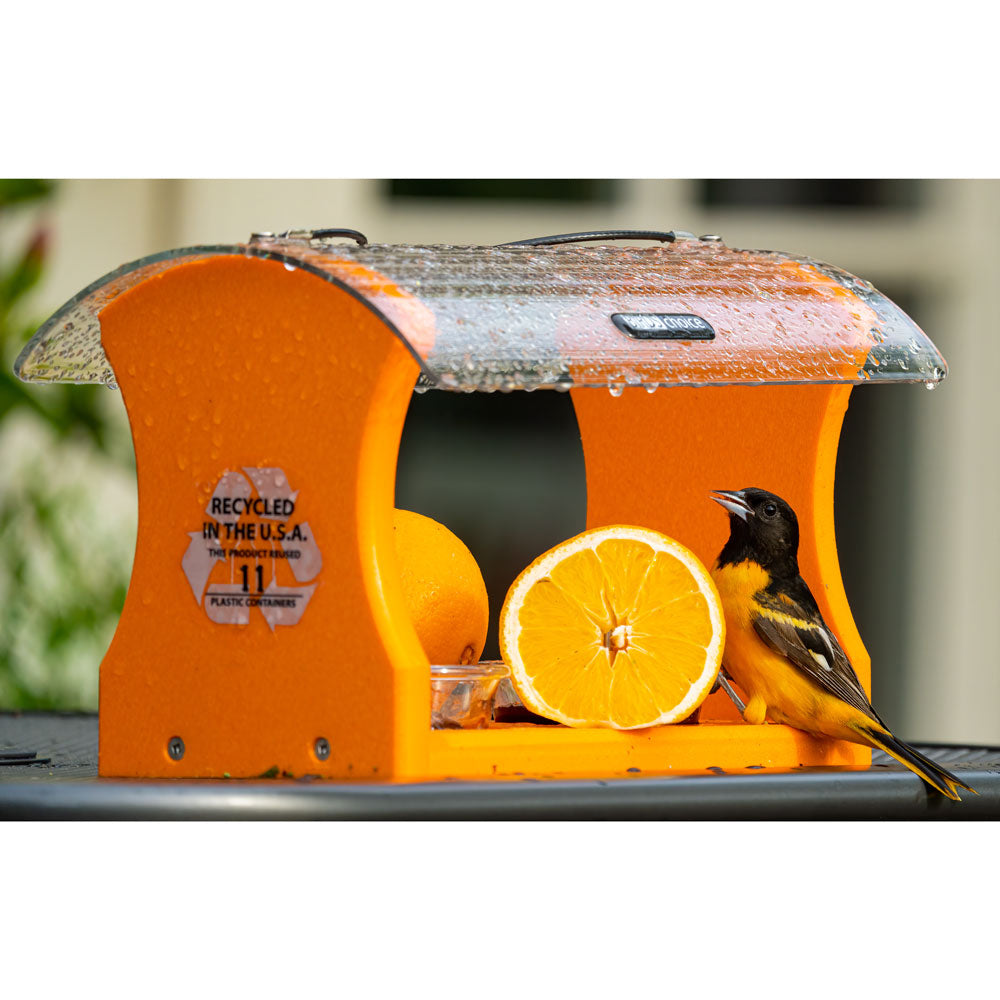 Recycled Oriole Bird Feeder for Oranges and Jelly in Orange - Birds Choice