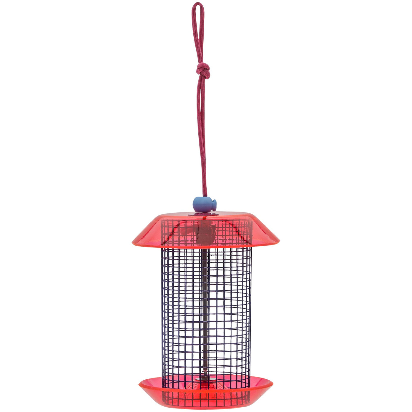 Small Sunflower Seed Feeder Color Pop Collection in Blue and Fuchsia - Birds Choice