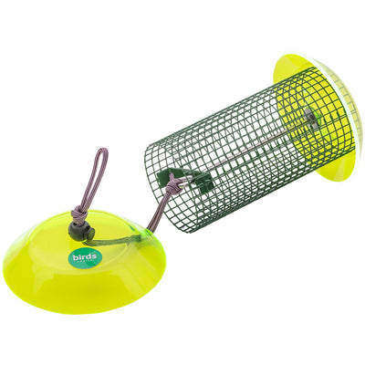 Small Sunflower Seed Feeder Color Pop Collection in Green and Lavender - Birds Choice
