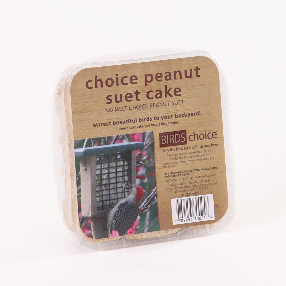 Peanut Suet Cake for Birds - Birds Choice