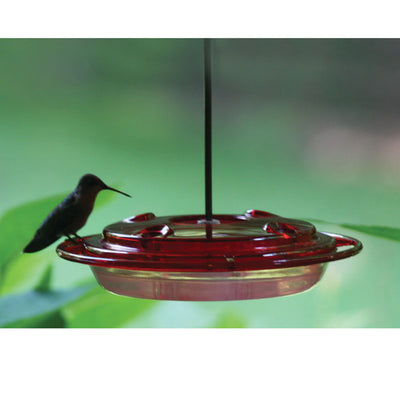 Hummerfest Hummingbird Feeder for 8 oz. Nectar with 4 Nectar Ports - Birds Choice